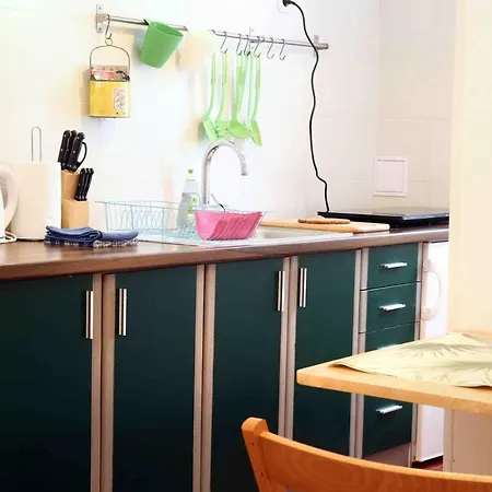 Apartment Alina Center
